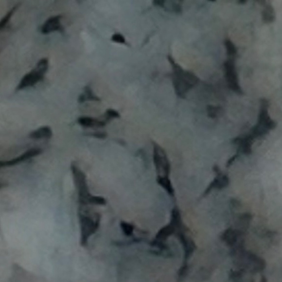 Sterling silver plated teardrop Dendritic agate ring, Gray - Picture 12 of 13